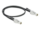 Delock Externes SAS-Kabel - SAS 32Gbit/s - Mini SAS HD (SFF-8674)