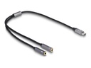 Delock Adapter USB-C auf Klinkenstecker - USB-C