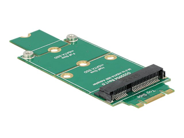 Delock Adapter mSATA > M.2 NGFF - Speicher-Controller
