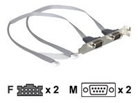 Delock Serielles Bedienfeld - DB-9 (M) zu 10 PIN IDC (W)
