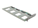 Delock Speicher-Controller - Gabelung, 288