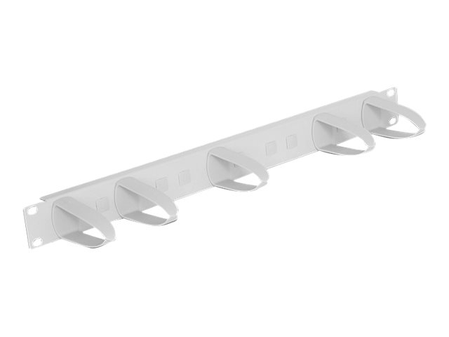 Delock Universal - Kabelmanagement - Rack montierbar - Hellgrau, RAL 7035 - 1U - 48.3 cm (19")