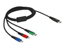 Delock 3 in 1 - Kabel nur zum Laden - 24 pin