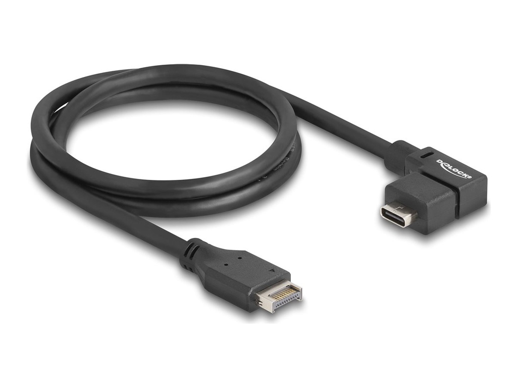 Delock USB-Kabel - 20-poliger USB Typ E (M)