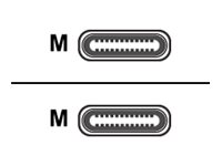 Elo Touch Solutions Elo - USB-Kabel - USB-C (M) zu USB-C (M) - 1.83