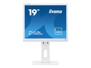 Iiyama ProLite B1980D-W1 - LED-Monitor - 48 cm (19")