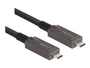 Delock USB-Kabel - 24 pin USB-C (M) zu 24 pin USB-C (M)