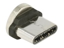 Delock Magnetic - USB-Anschluss - USB-C (M)