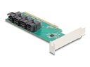 Delock Speicher-Controller - Gabelung - U.2