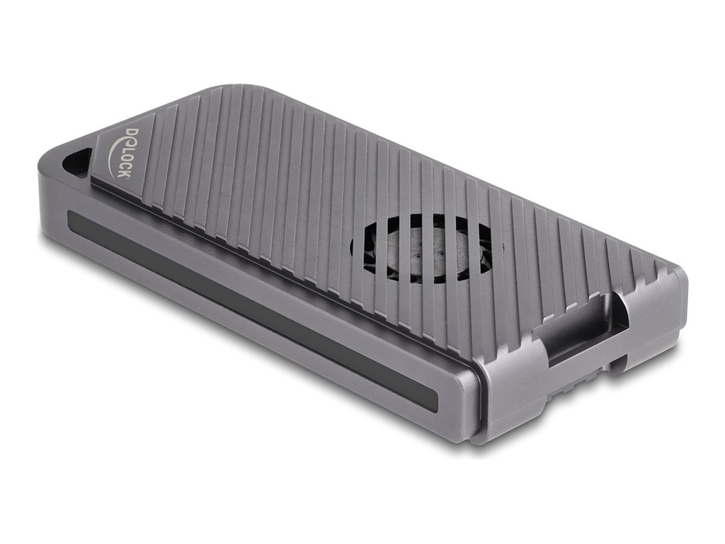 Delock Speichergehäuse - 40 Gbps, Gaming-Stil