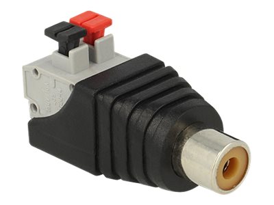 Delock Audio-Adapter - 2-polige Klemmleiste