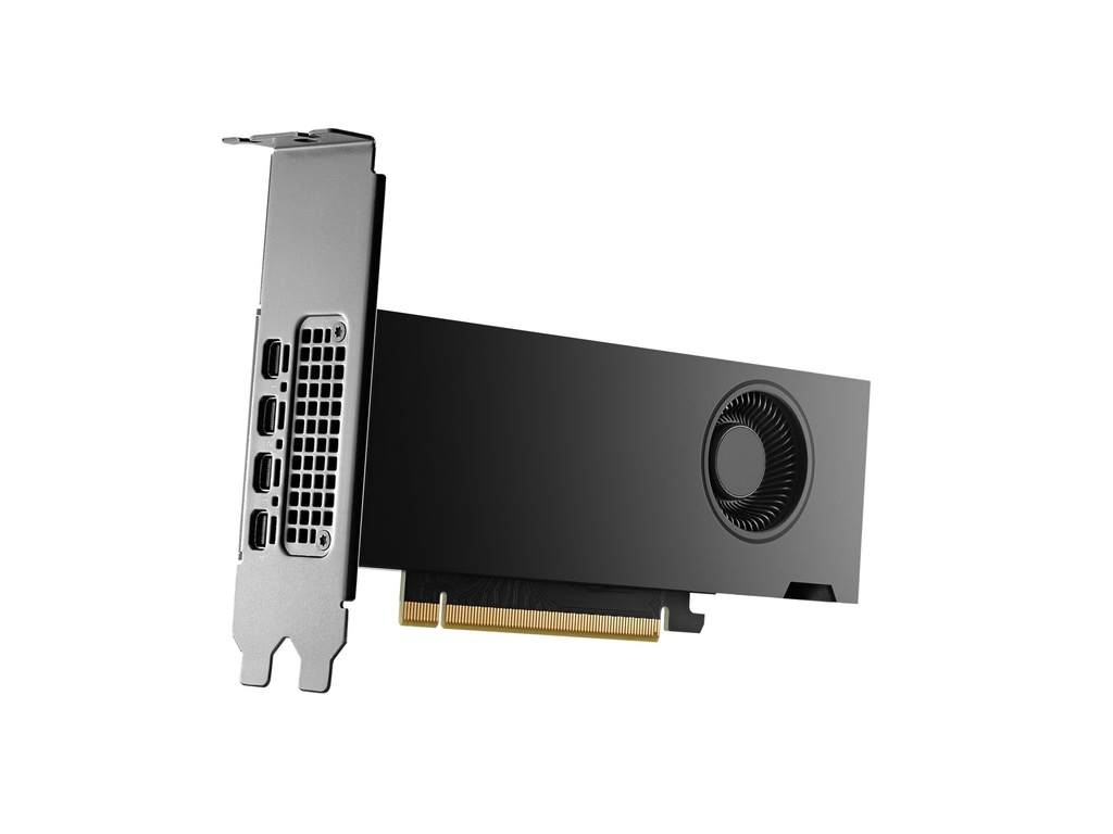 HP NVIDIA RTX - Grafikkarte - NVIDIA RTX 2000 Ada