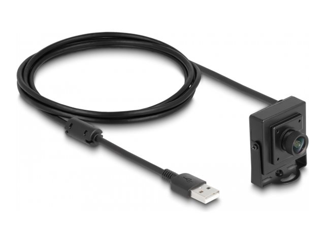 Delock Webcam - Farbe - 2,1 MP - 1920 x 1080
