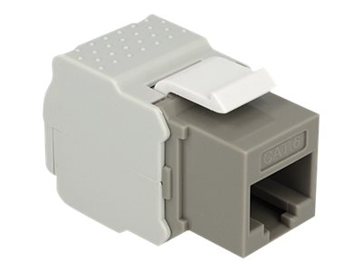 Delock Modulare Eingabe - CAT 6 - UTP - RJ-45