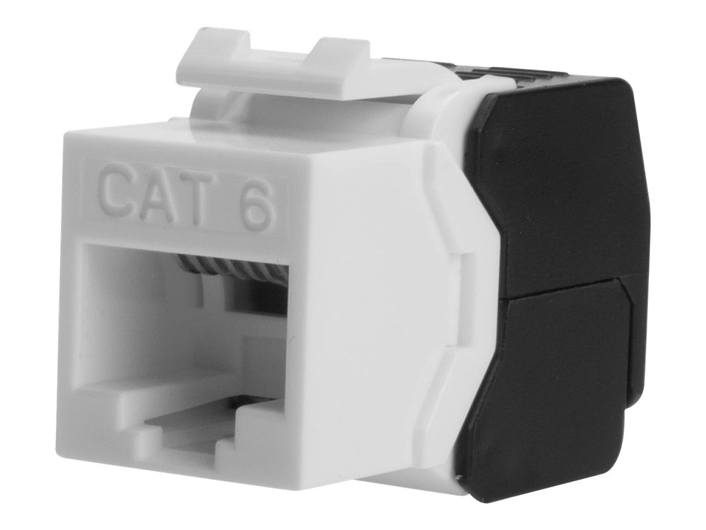 DIGITUS Modulare Eingabe - CAT 6 - UTP - RJ-45 (Packung mit 2)