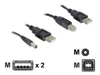 Delock Stromkabelkit - USB (M) zu USB Typ B, Gleichstromstecker 2,1 mm (M)