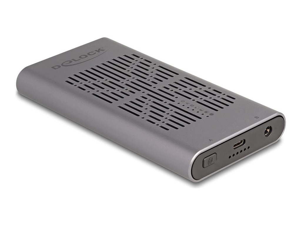 Delock Speichergehäuse - 20 Gbps, Klonfunktion