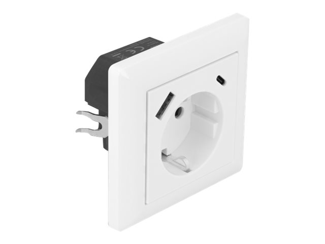 Delock Steckdose - 2P+E - Typ F, USB, USB Typ-C