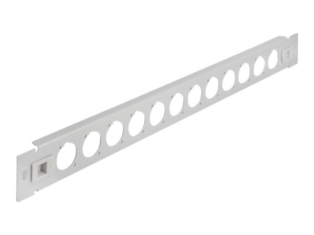 Delock Patchpanel (Blindblech) - D-Typ, werkzeugfrei - Rack montierbar - Grau - 1U - 48.3 cm (19")