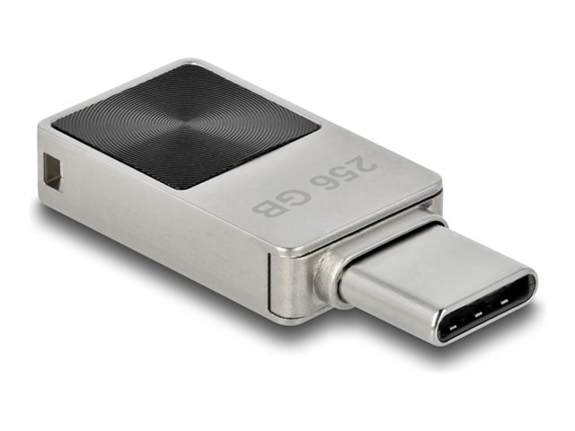 Delock USB-Flash-Laufwerk - 256 GB - USB-C