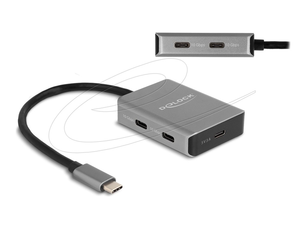 Delock Hub - 10 Gbps, mit USB-C-Anschluss