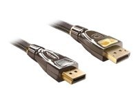 Delock DisplayPort-Kabel - DisplayPort (M)