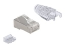 Delock Netzwerkanschluss - RJ-45 (M) - FTP - CAT 6 (Packung mit 50)