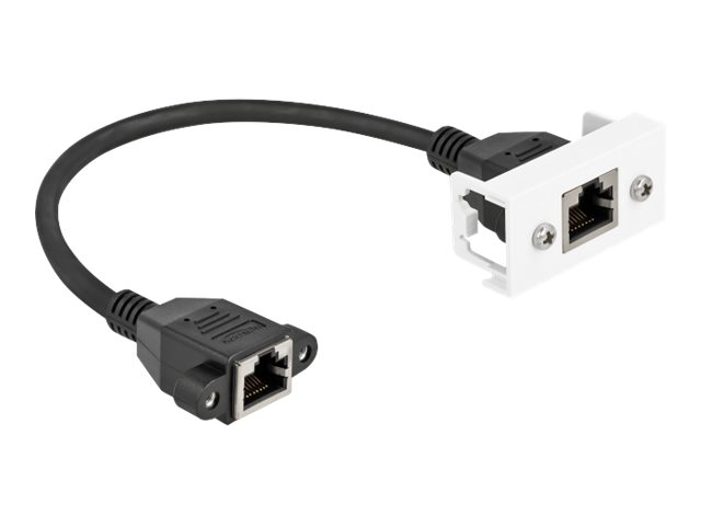 Delock Netzwerkkabel - RJ-45 (W) mit Muttern zu RJ-45 (W)