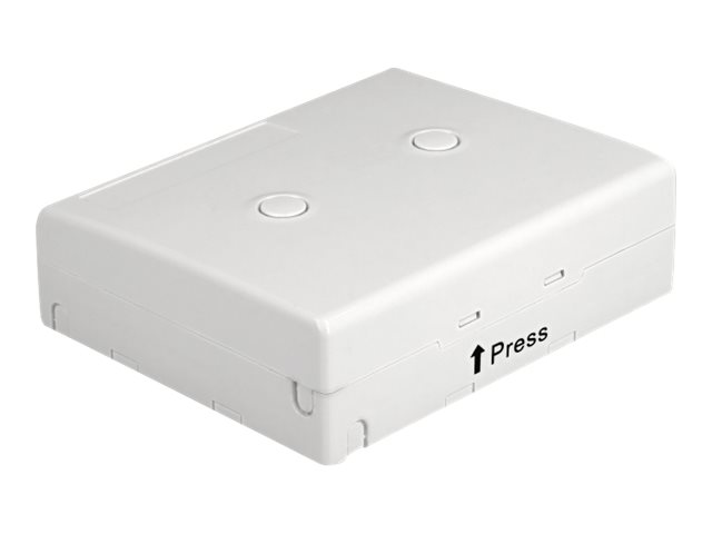 Delock Glasfaser-Anschlussdose - geeignet für Wandmontage