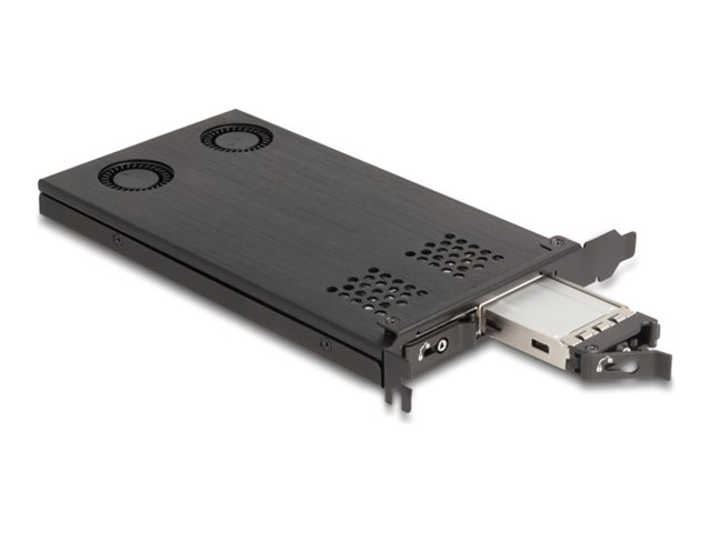 Delock Schnittstellenadapter - M.2 - M.2 NVMe