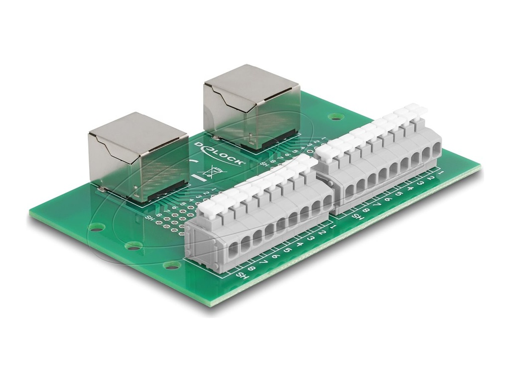 Delock Netzwerkadapter - RJ-45 (W) zu 9-poliger