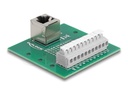 Delock Netzwerkadapter - RJ-50 (W) gewinkelt