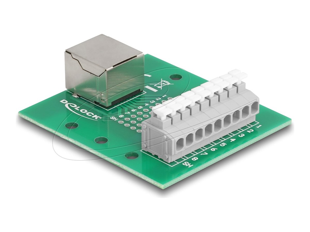 Delock Netzwerkadapter - RJ-45 (W) zu 9-poliger