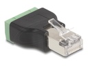 Delock Netzwerkadapter - RJ-45 (M) zu 4-poliger Anschlussblock (W)