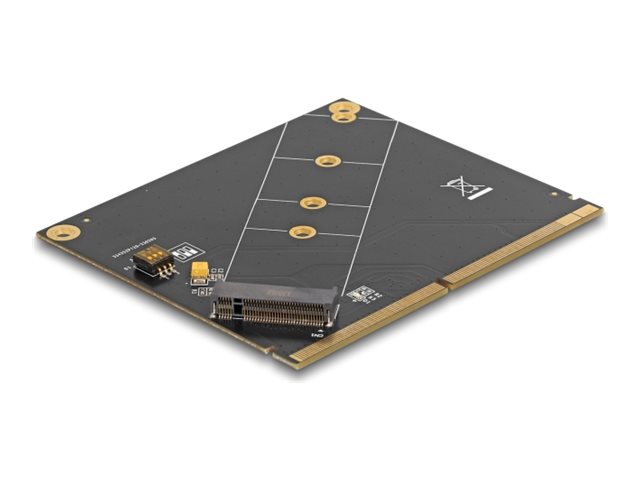 Delock Speicher-Controller - M.2 NVMe Card / PCIe 4.0 (NVMe)