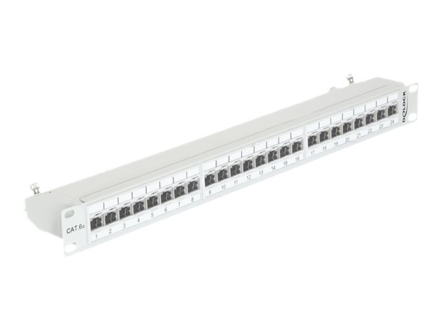Delock Patch Panel - CAT 6a - RJ-45 X 24 - Hellgrau, RAL 7035 - 1U - 48.3 cm (19")
