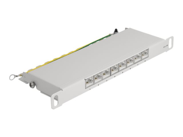 Delock Patch Panel - Rack montierbar - CAT 6a - RJ-45 X 8, LSA X 8 - Grau - 0.5U - 25.4 cm (10")