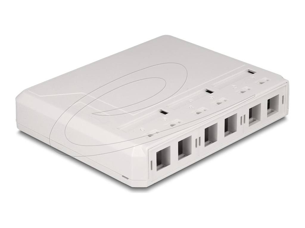 Delock Gehäuse mit modularen Einsätzen - Keystone-Oberfläche