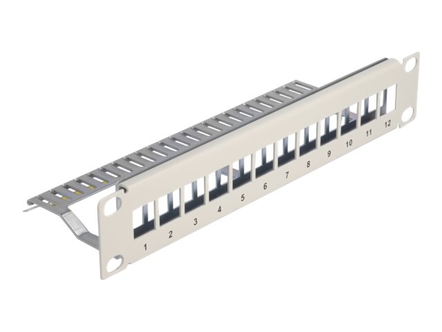 Delock Patchpanel (Blindblech) - mit Zugentlastung - Rack montierbar - Grau - 1U - 25.4 cm (10")