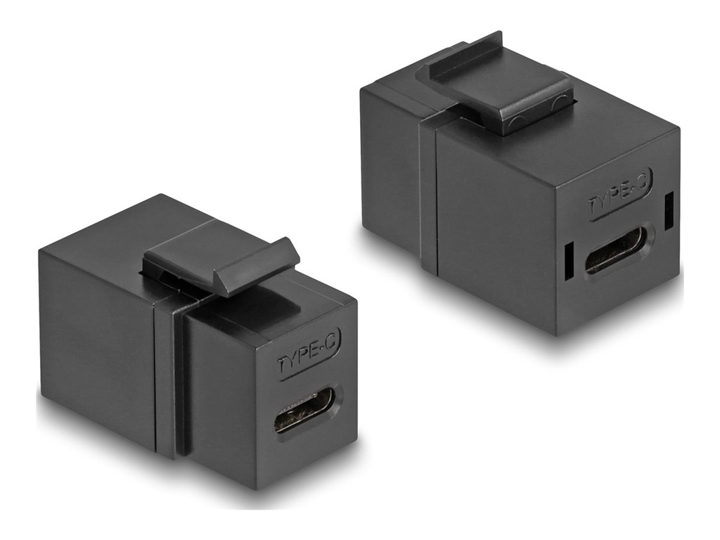 Delock Modularer Einschub (Kopplung) - weiblich