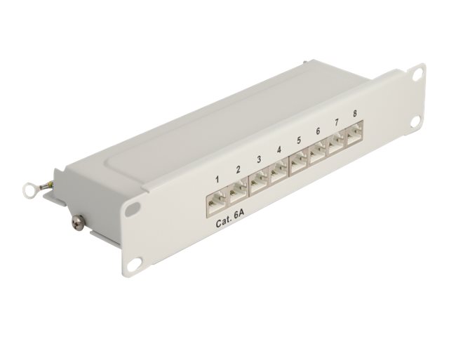 Delock Patch Panel - CAT 6a - RJ-45 X 8 - Grau - 1U - 25.4 cm (10")