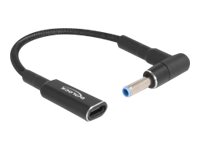 Delock Netzteil - 24 pin USB-C (W) zu Gleichstromstecker 4,5 x 3,0 mm (M)