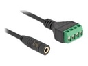 Delock Audio-Adapter - Mini-Stecker (W) zu