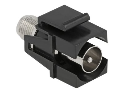 Delock Modulare Eingabe - ICE-Anschluss - Schwarz