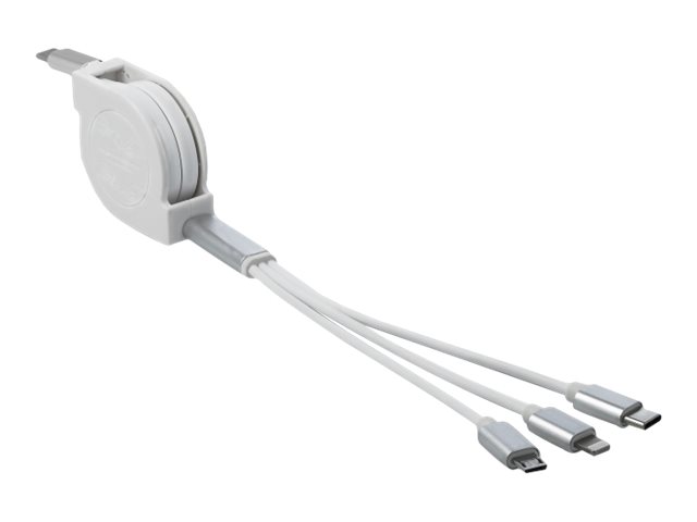 Delock Kabel nur zum Laden - 24 pin USB-C männlich