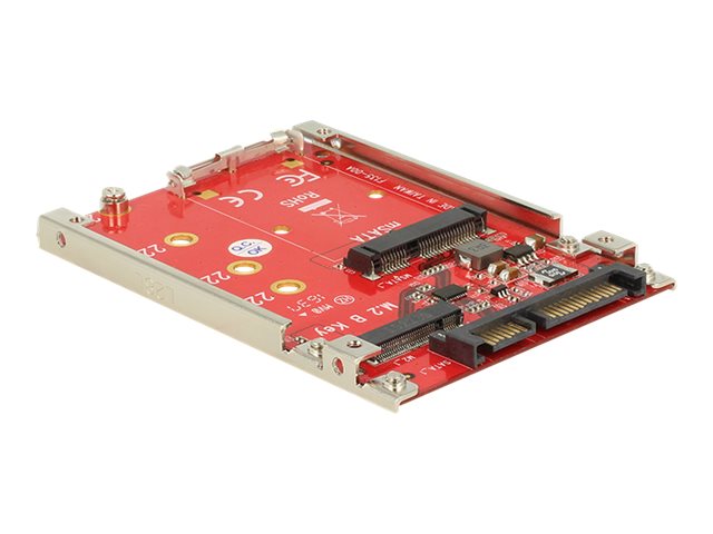 Delock Speicher-Controller - M.2 - M.2 Card