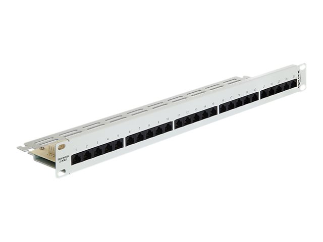 Delock Patch Panel - CAT 3 - RJ-45 X 25 - Hellgrau, RAL 7035 - 1U - 48.3 cm (19")