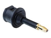 Delock Digitaler Audioadapter - Mini-TOSLINK