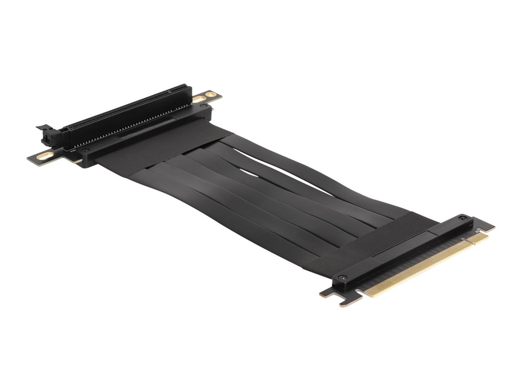 Delock Riser Card