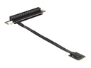 Delock Schnittstellenadapter - PCIe 4.0 x16 (NVMe)